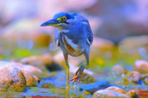 曼联主教练透露球队下次比赛战术调整