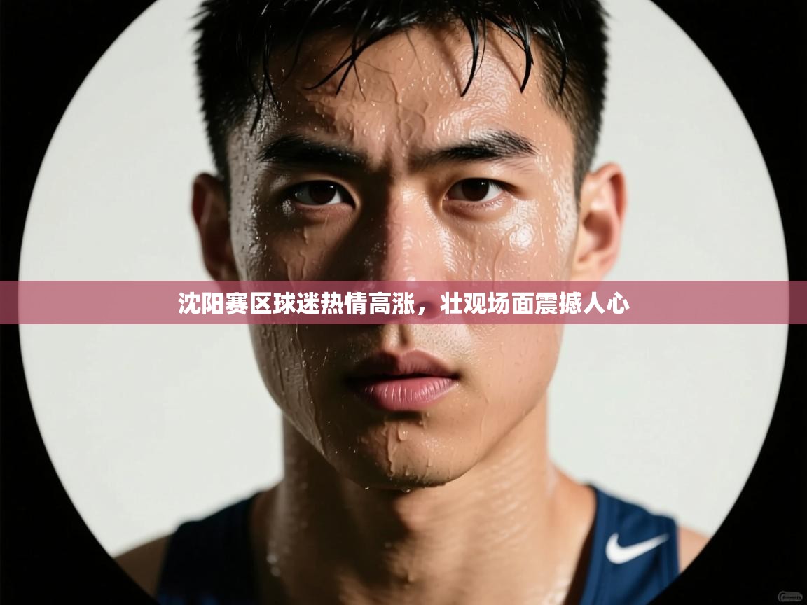 沈阳赛区球迷热情高涨,壮观场面震撼人心 第1张