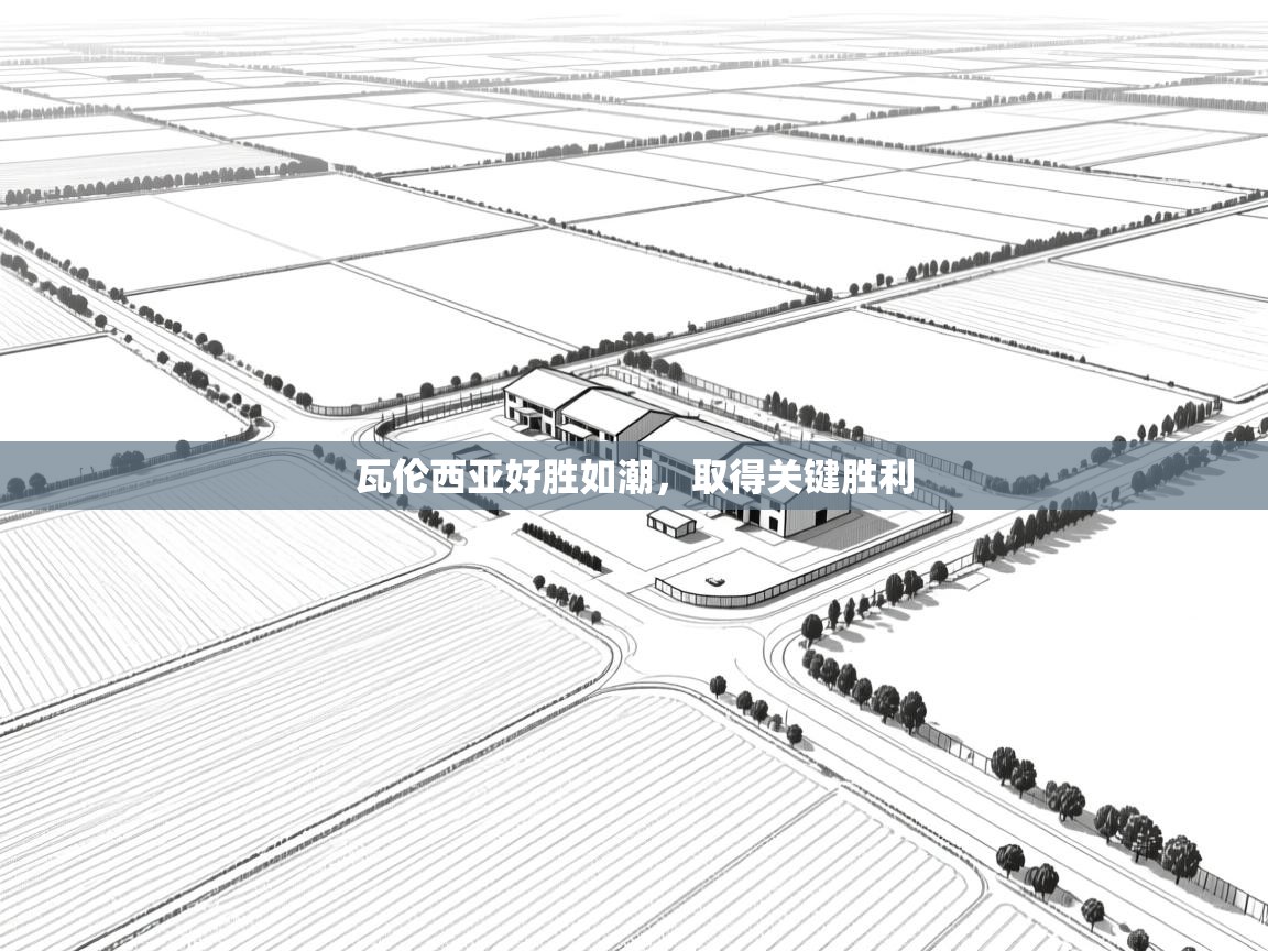 瓦伦西亚好胜如潮，取得关键胜利  第1张