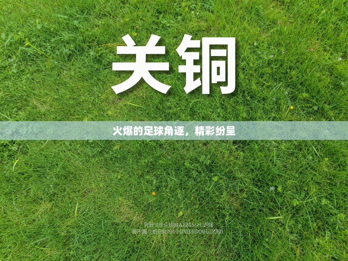 火爆的足球角逐，精彩纷呈  第1张