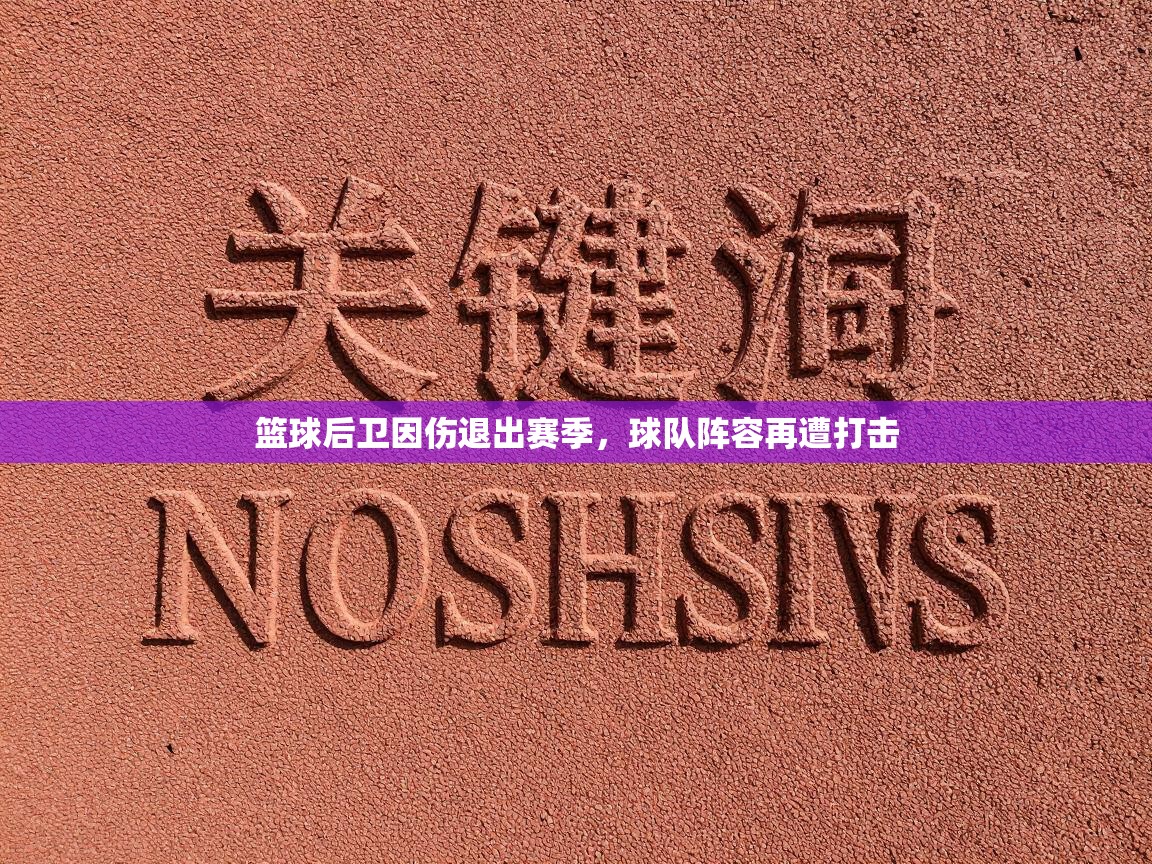 篮球后卫因伤退出赛季，球队阵容再遭打击  第2张